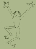 frog1