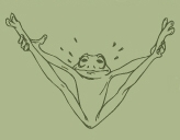 frog3